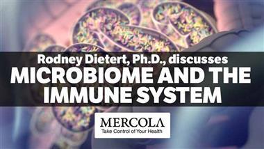 How Your Microbiome Influences Your Immune System